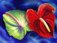 Colorfull Flowers